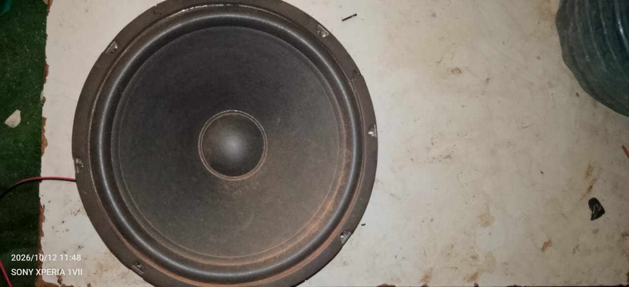 12 Inch Woofer Speaker - For Parts/Repair