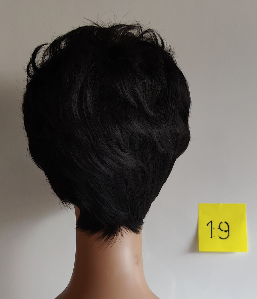 Wig #19