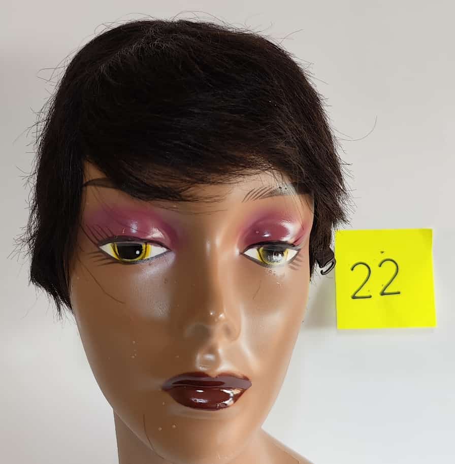 Wig #22