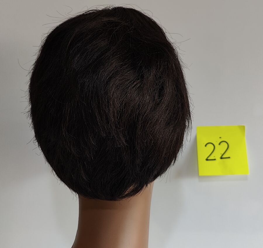 Wig #22